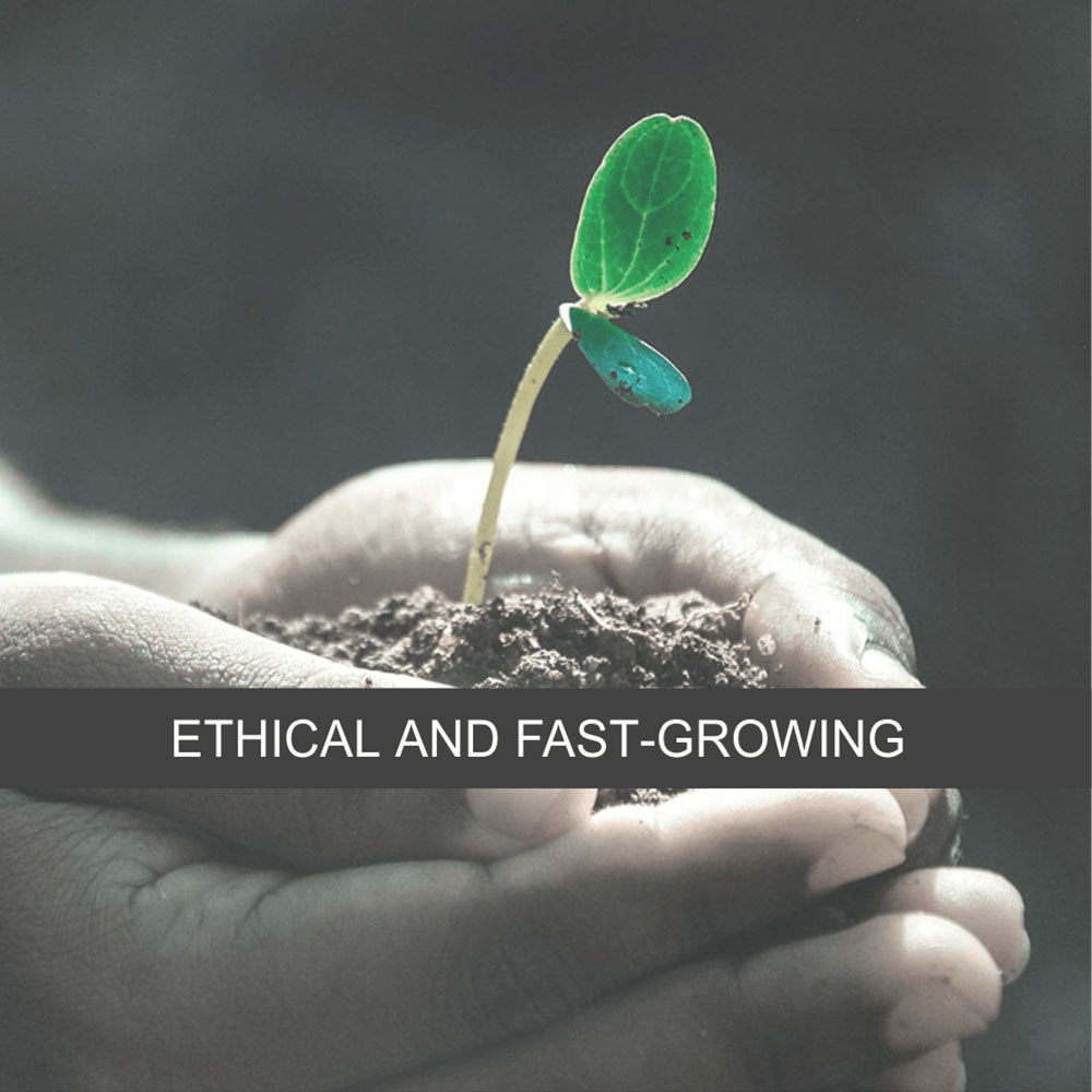 Ethical and Fast Growing